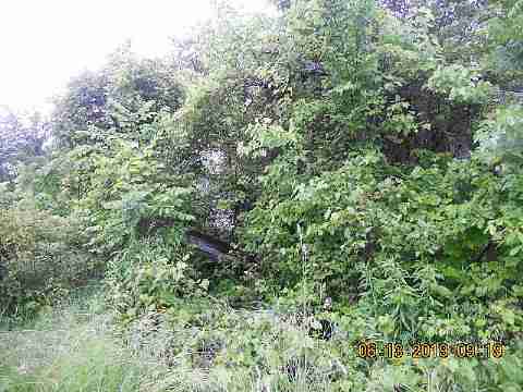 2549 Drexel (4)(1)_m.jpg